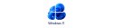 Windows 11